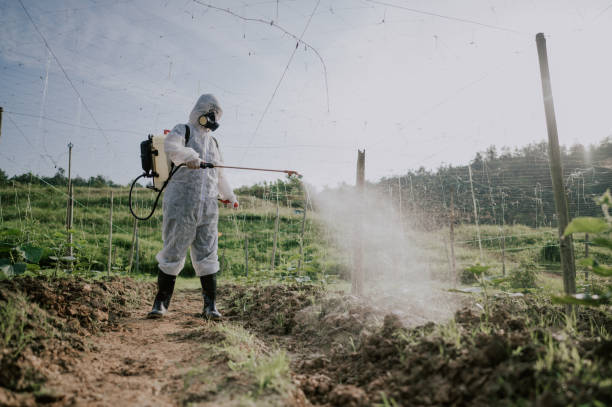 Best Local Pest Control Services  in Goodland, KS