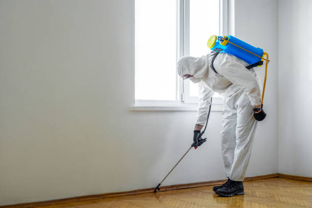 Pest Prevention Services in Goodland, KS